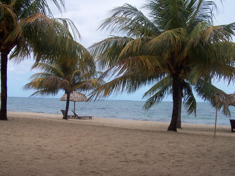 Jaguar Reef Lodge — Beach View