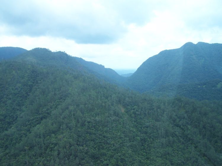 Helicopter — Looking Down the Gorge