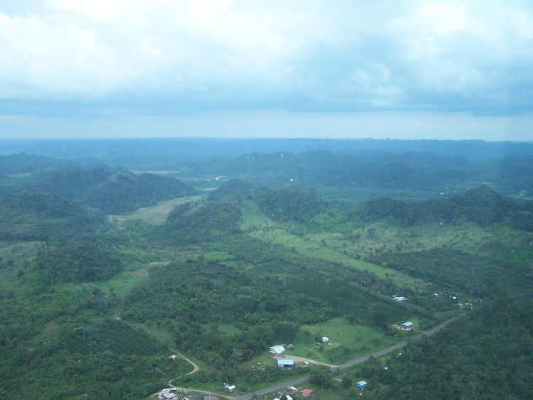 Helicopter — Belize Landscape