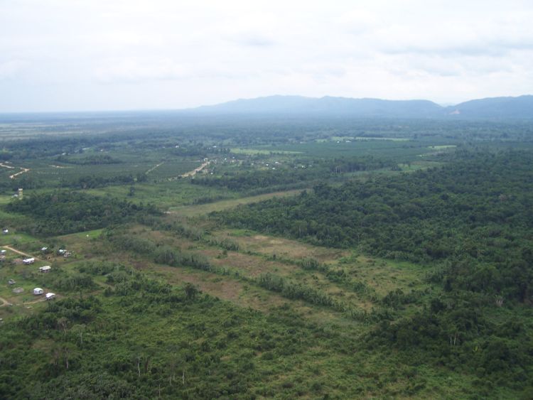 Helicopter Tour