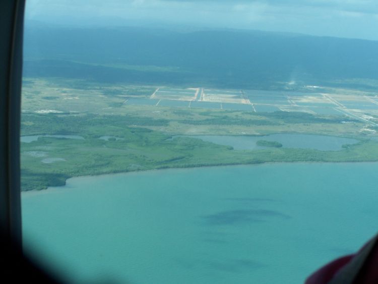 Shrimp Farms Perhaps