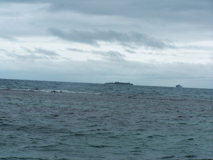 Reef Snorkel — First Sign of the Reef