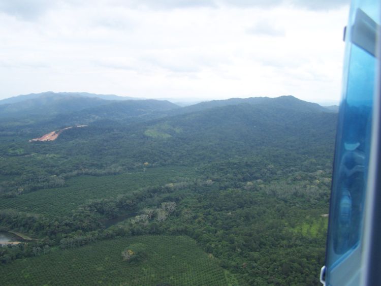 Helicopter Tour — Headed for the Maya Mountains