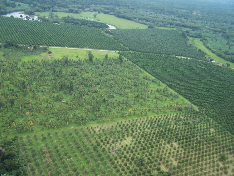 Helicopter Tour — Farming