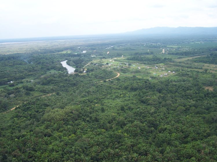 Helicopter Tour