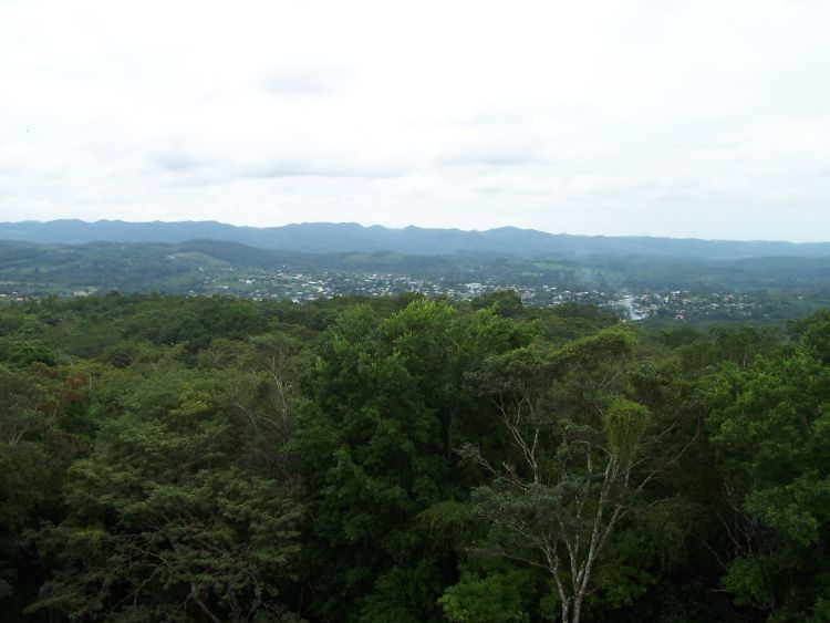 Xunantunich — View from El Castillo
