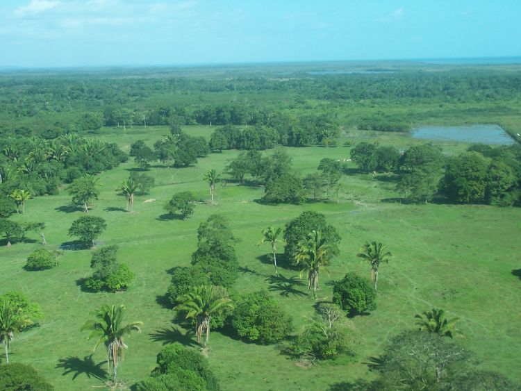 Near Landing at Dangriga