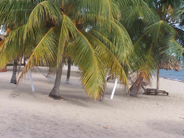 Jaguar Reef Lodge — Hammock