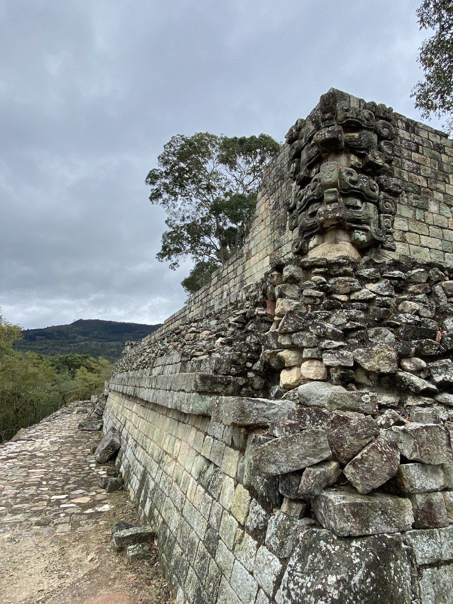 Copán in Honduras: Stellar Stelae, plus Macaws