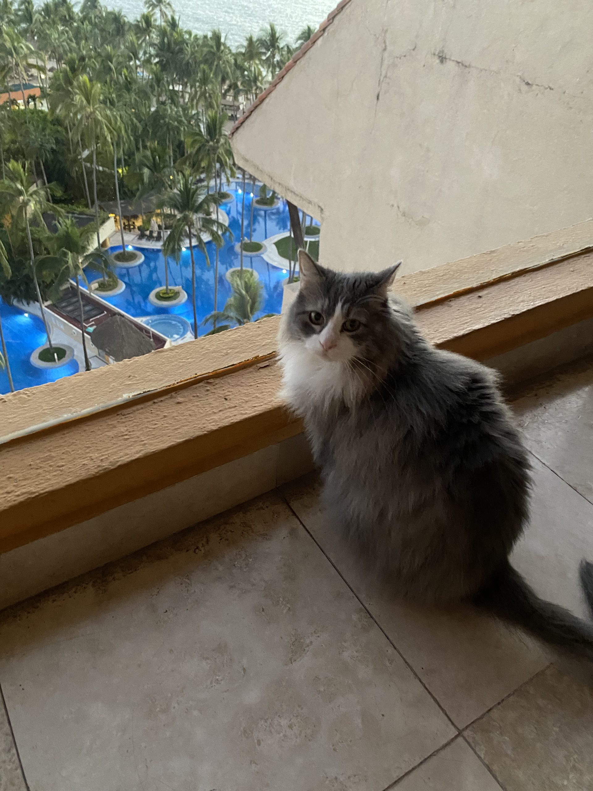 Lexie looking out at the pools in Puerto Vallarta