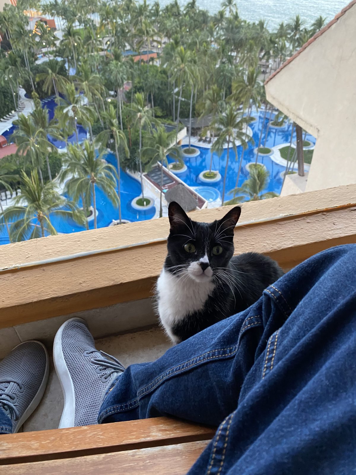 Mia, living her best life in Puerto Vallarta
