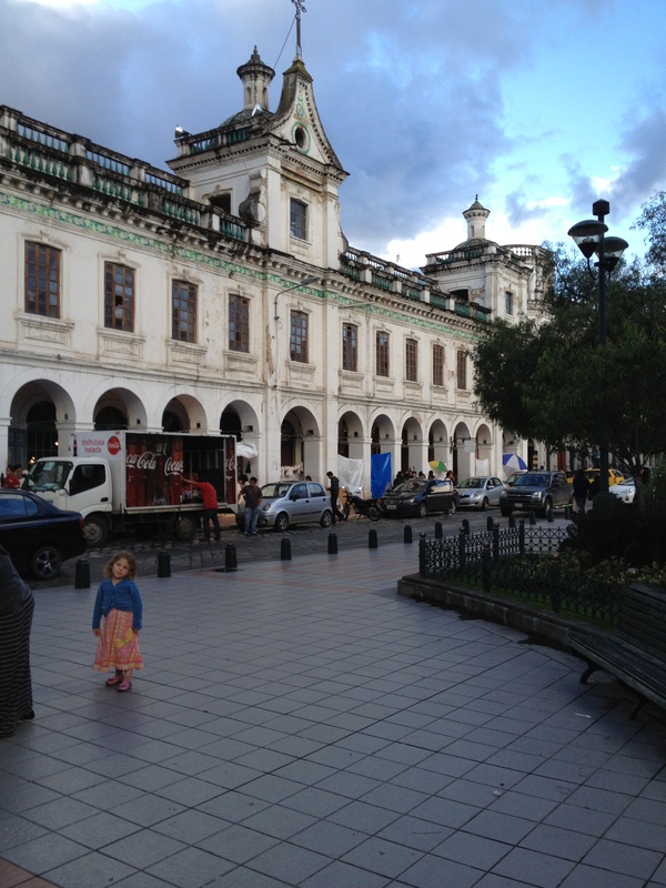 Building on Parque Calderón