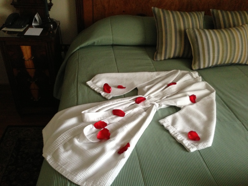 Robe and Rose Petals