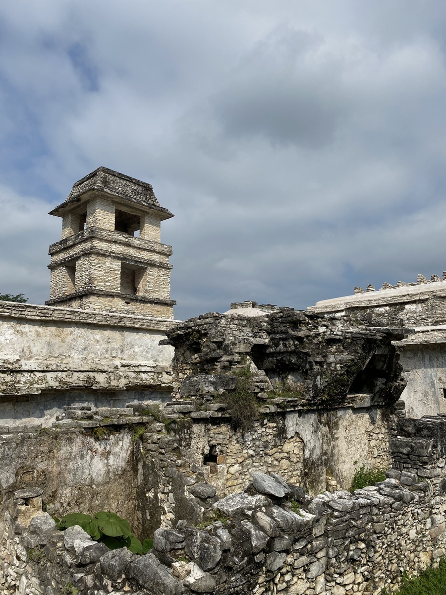 The Observation Tower