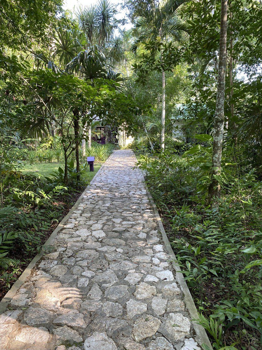 Path