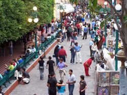 Crowds Gather at El Jardin