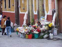 The flower ladies