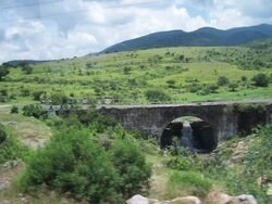 Bridge over Stream