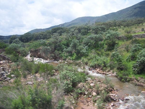 Landscape 5 — Stream