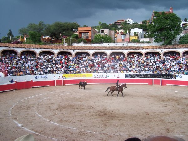Bullfight 3