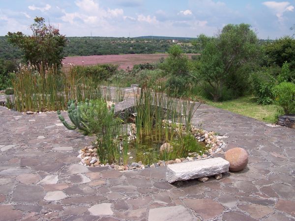 The Botanical Gardens 3