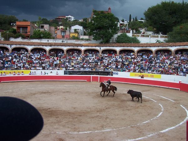 Bullfight 1