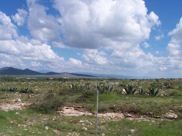 Pozos Sky