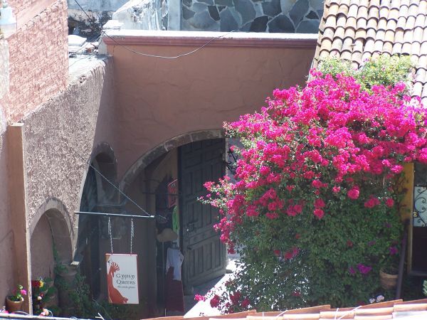 And Flowers As Well