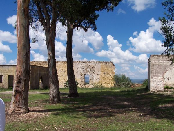 Pozos Ruins