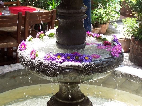 With Fresh Flowers